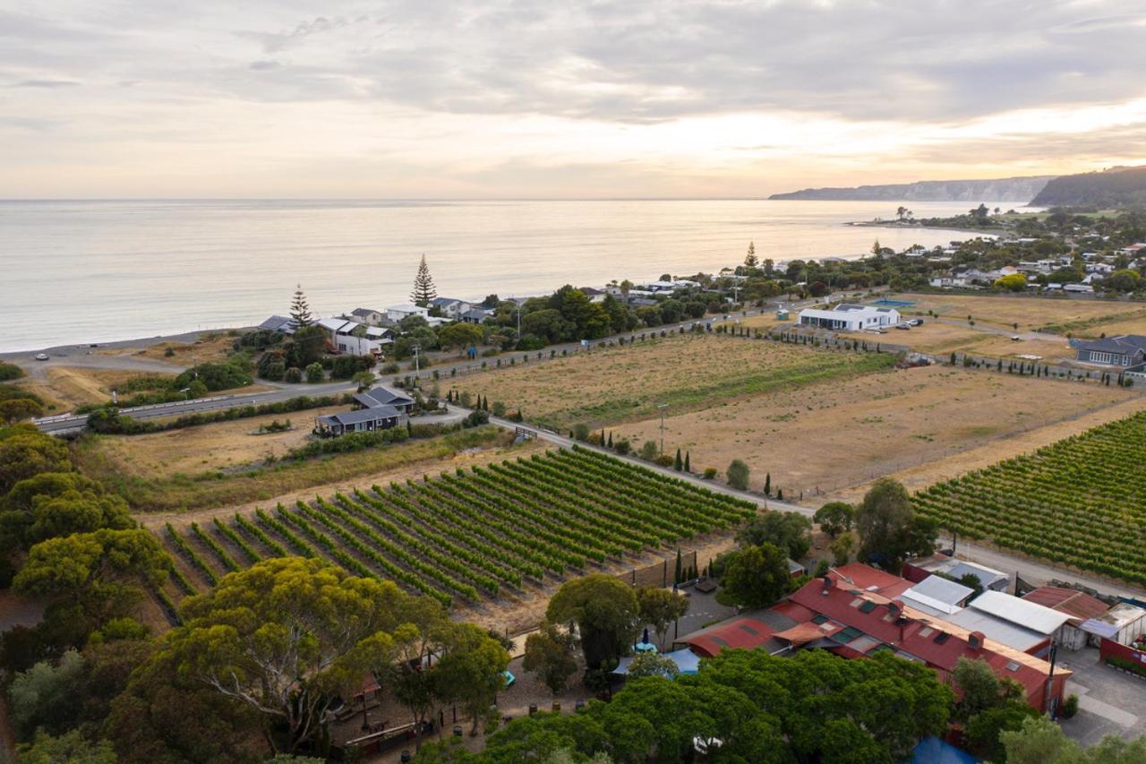 Beach Front Wine Makers Cottage Te Awanga Ngoại thất bức ảnh